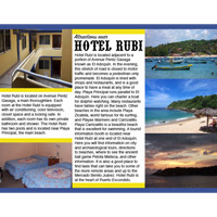 Tri-Fold Brochure